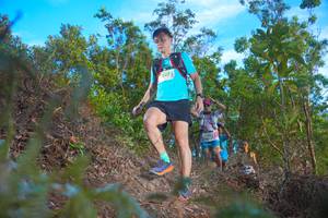 BIB: 202
                            <button type="button" onclick="openModal(21833533)" class="btn btn-primary btn-sm float-right btn-popup" data-toggle="modal" data-target=".modal-high-quality">
                        <i class="fas fa-shopping-cart"></i> Add to Cart
                    </button>
                                            <button type="button" onclick="isThisMe(21833533, true)" class="btn btn-success btn-sm float-right btn-popup btn-isme hidden" data-toggle="tooltip" data-placement="bottom" title="นี่คือรูปของคุณใช่ไหม คลิกที่นี่เพื่อเอาเข้าอัลบั้ม">
                        <i class="fas fa-plus"></i> Add to album
                    </button>
                    <button type="button" onclick="isThisMe(21833533, false)" class="btn btn-warning btn-sm float-right btn-popup btn-isnotme hidden">
                        <i class="fas fa-ban"></i> Remove from album
                    </button>